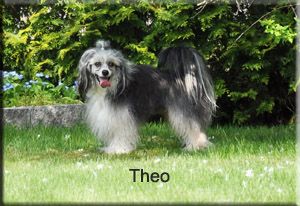 YaGudina's The winner takes it all