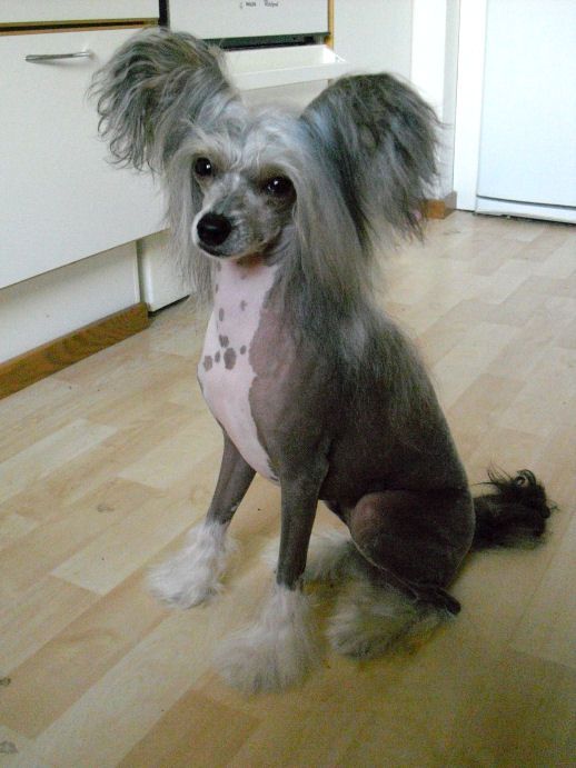 Joyway's You're The One