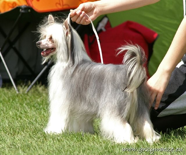 Figa-Miga Capo Vaticano