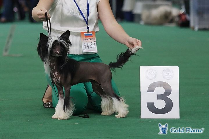 Sunny Lion Romantic Revolution