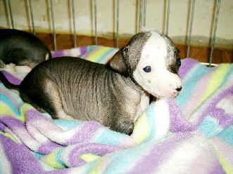 Bakty Du Coeur Des Tenebres