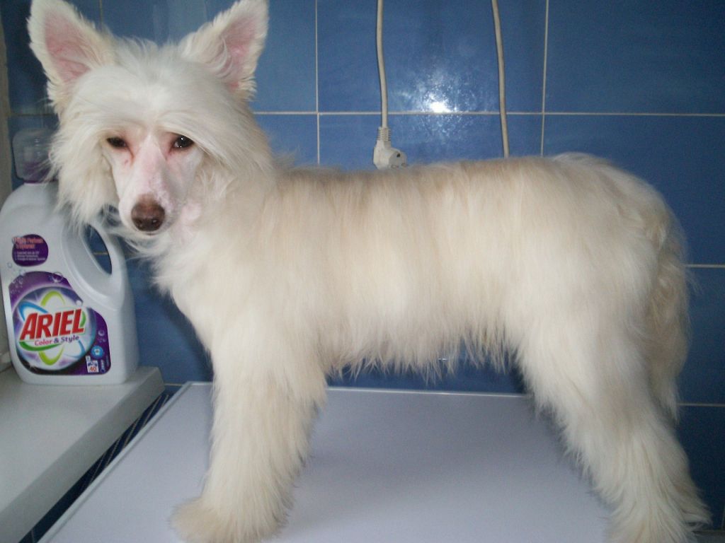 Vanilla Cream de GabriTho