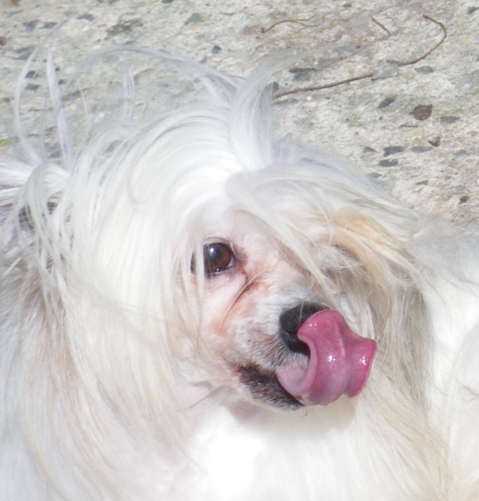 Pauline Du Trou de Granit