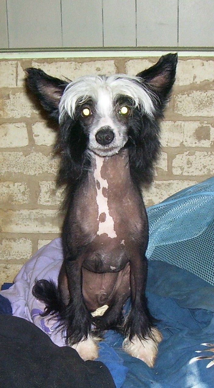 Forever and Ever, Amen