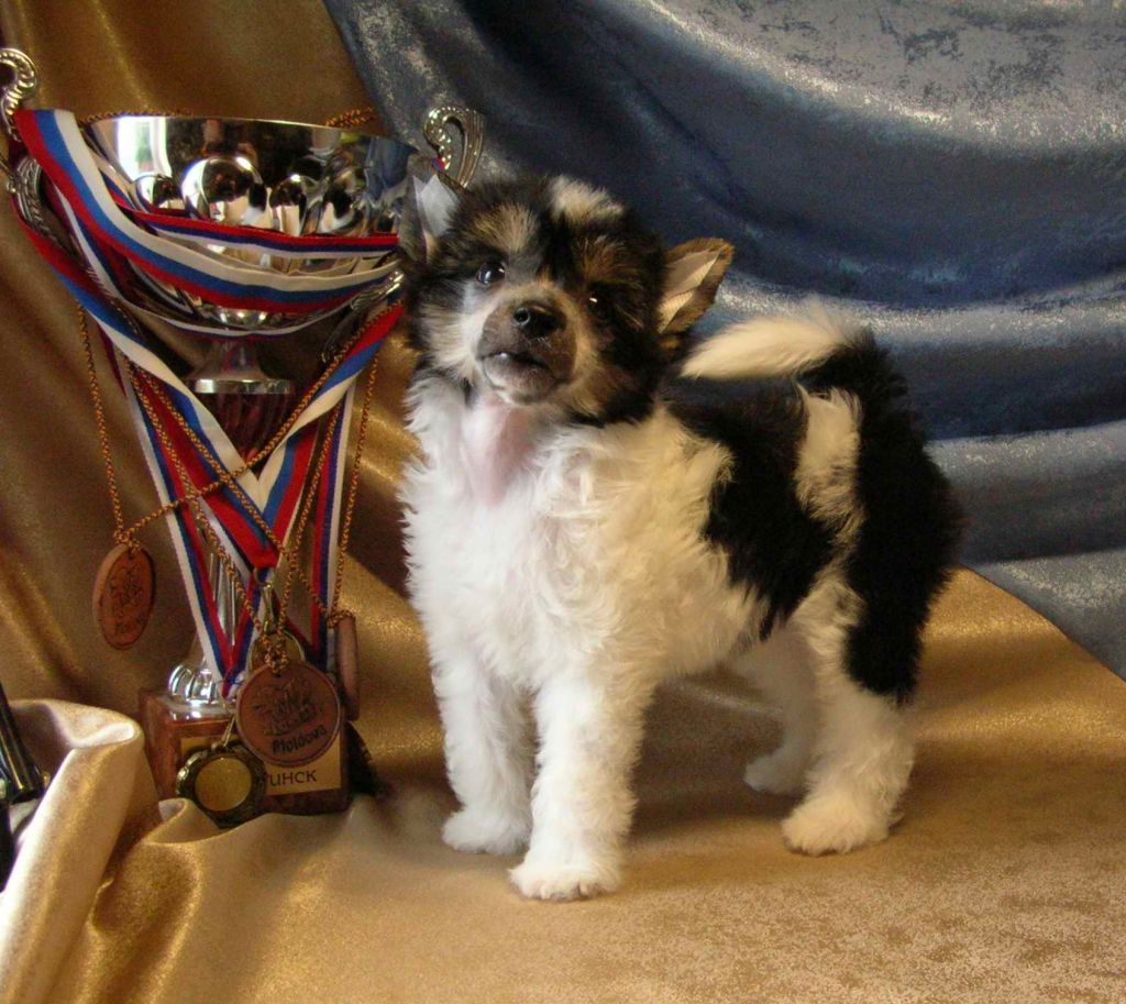 Olegro Katrin Livadia