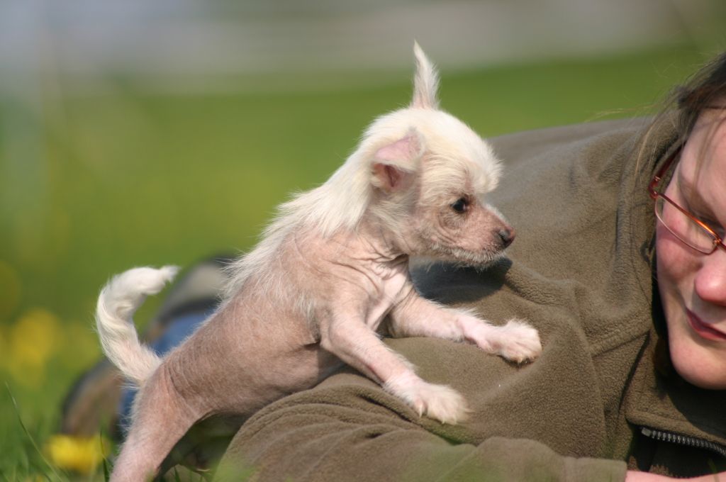 Happy Dancing Invisible Idea