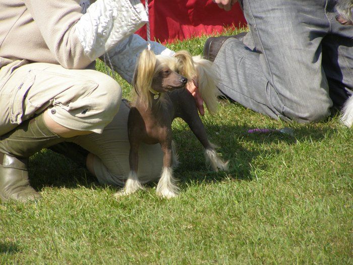 Family Song's Chantal