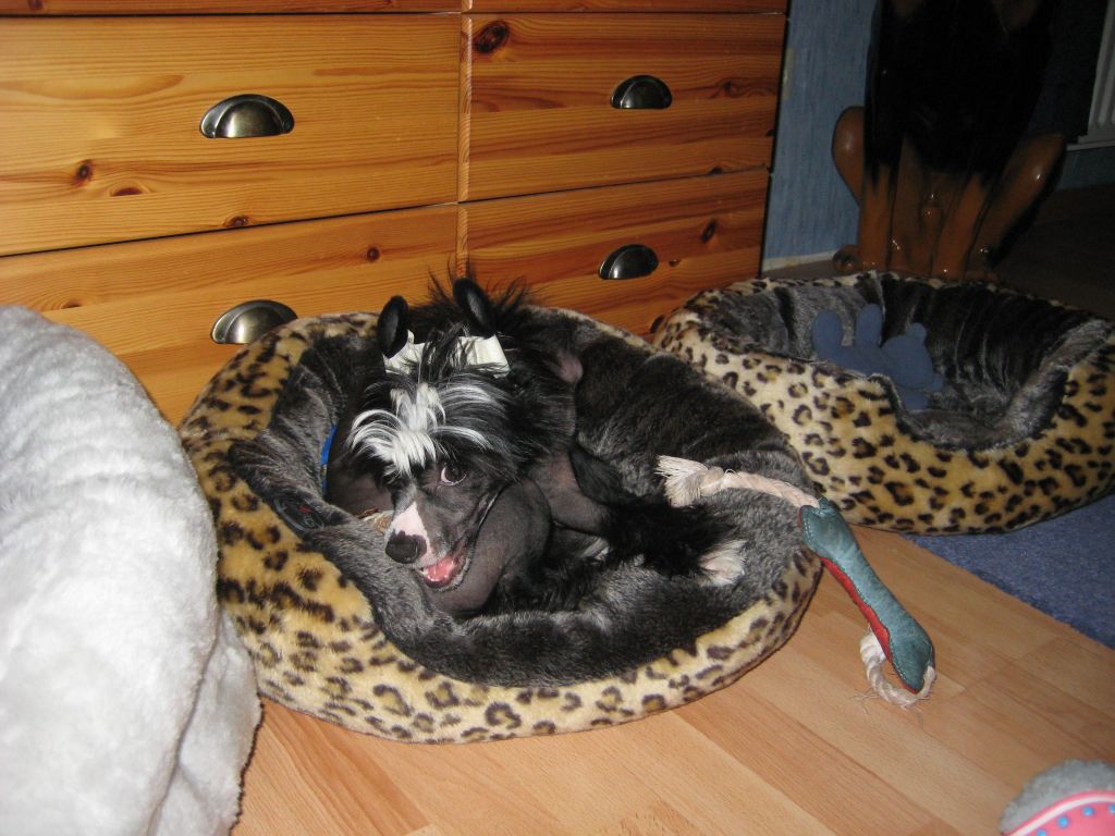 Amour Noir von Shinbashi