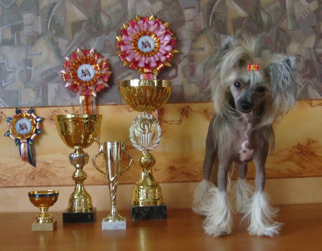 Vernisazh Mari Patrisia Prima Dans