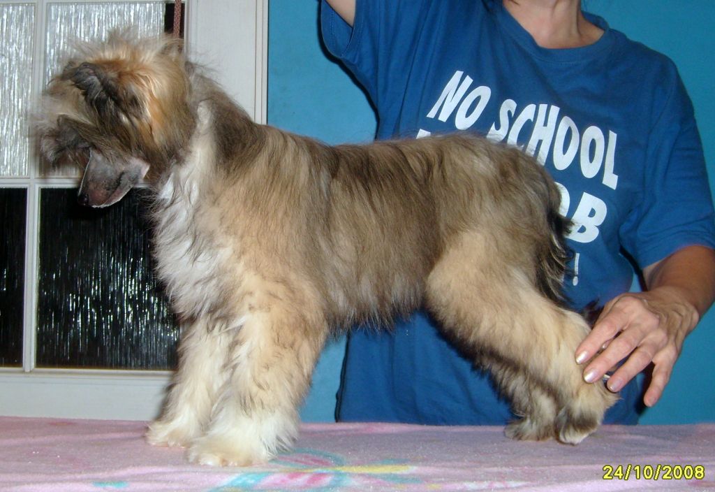 Barbacoma (fci) True Love