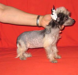 Strong Style Oddy Baby