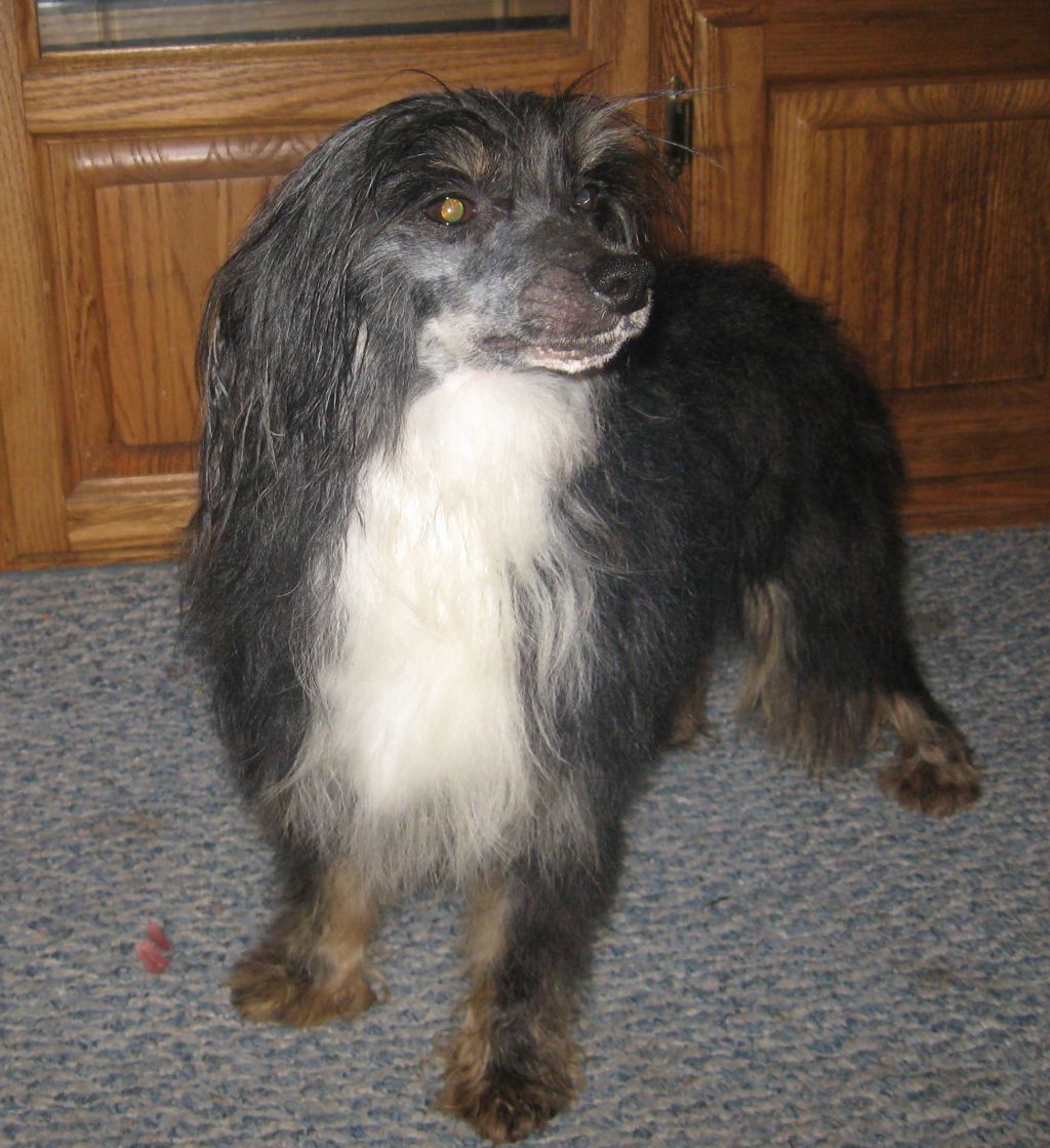 Ozark Caverns Cookie Surprise