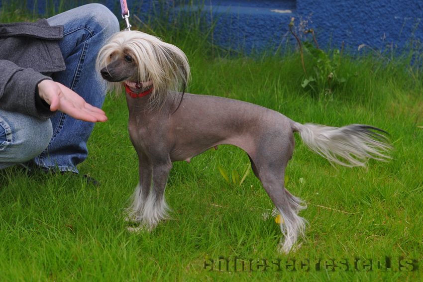 Practical Hero Absolutely True