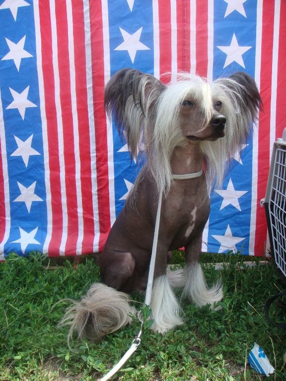 Djemanshi Lord Of The Ring