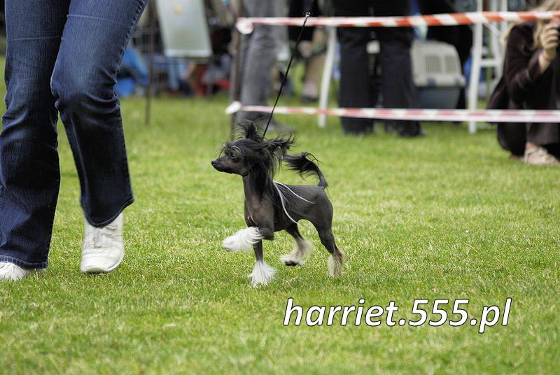 Olala Oplawieckie Czary