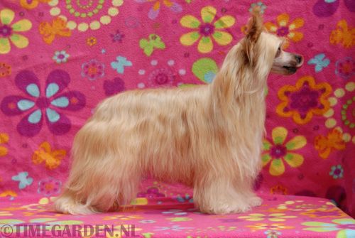 Timegarden Worth the Wait