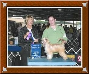 Hobby-Horse Getting My Way at Mosaic