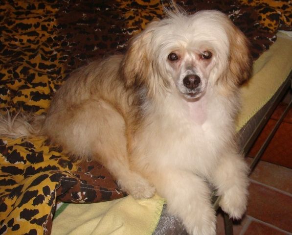 Crusoe Magická Noc