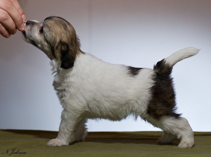 Sun Dan Play With Me