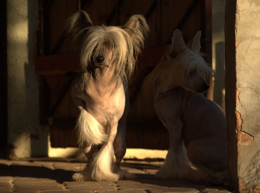 Meg Ryan Semper In Motu  Z Ekipy Klejnot