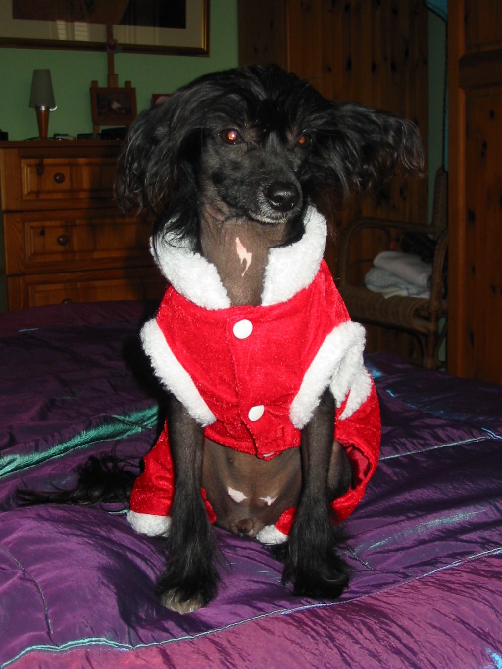 Baltic House Princess Leja