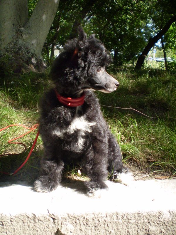 Kranar Rich for the Stars