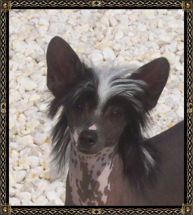 Trinity's In Honor Of a Lady