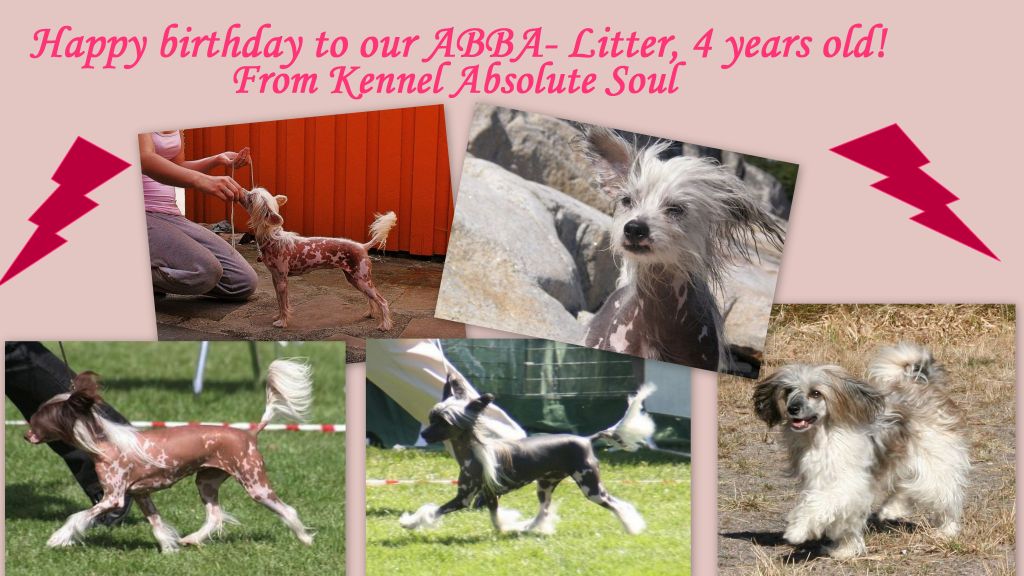 Absolute Souls Fernando