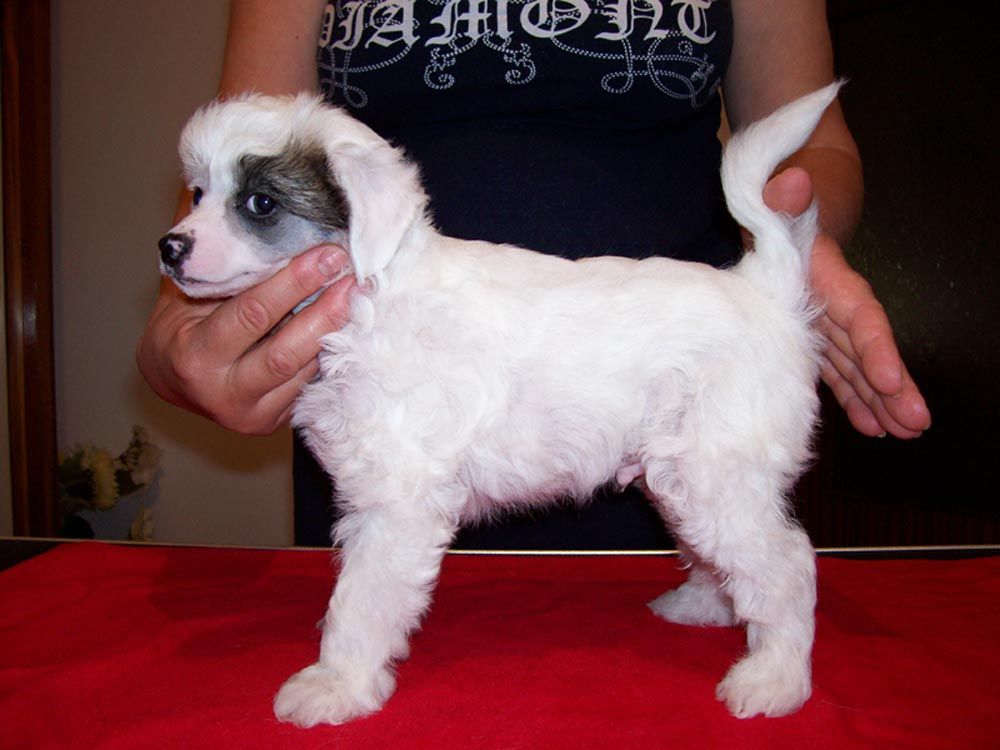 Decor Boy Nuda Veritas