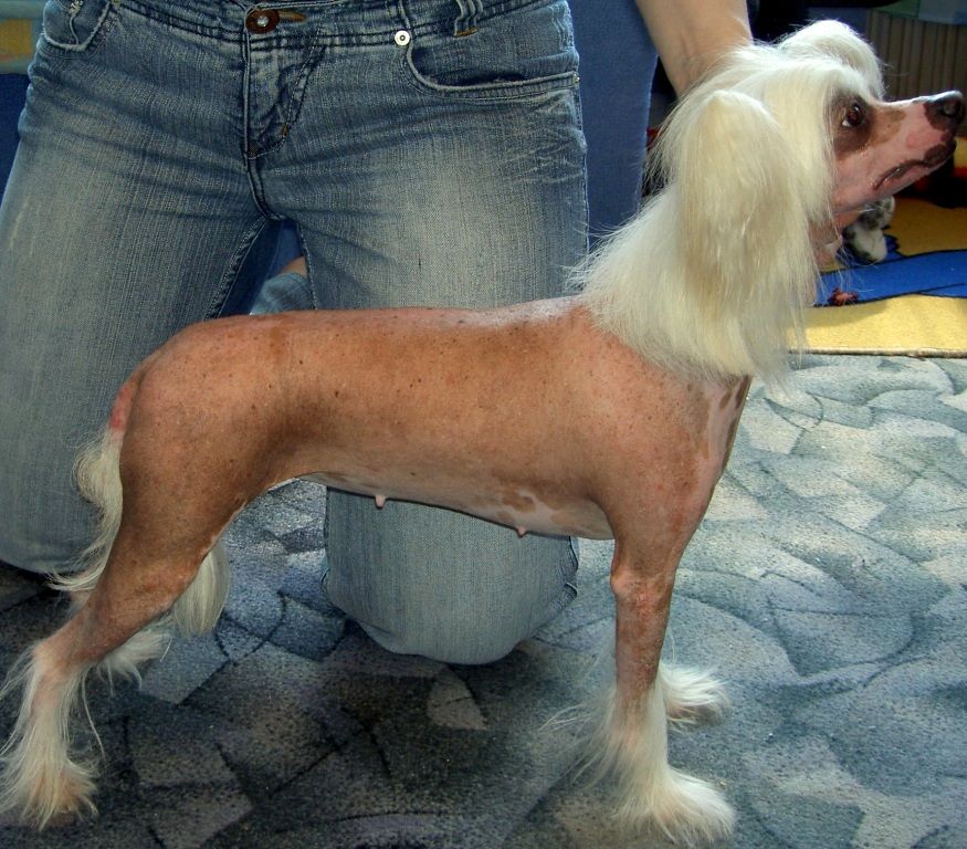 Bel Etual Ilizabet Polin