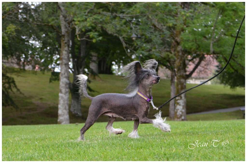 Sun-Hee's Blue Moon Rising