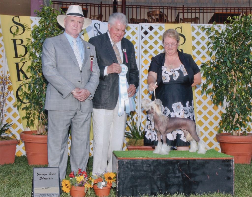 Sun-Hee's Be Provocative, AOM