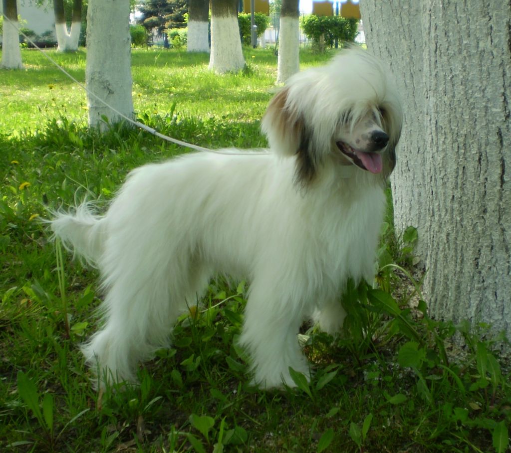 Melanies Rerity Brigitta