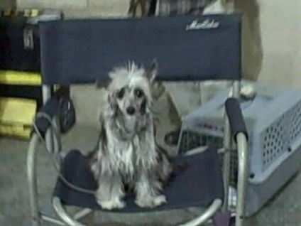 Sakkarra Cause For Applause!