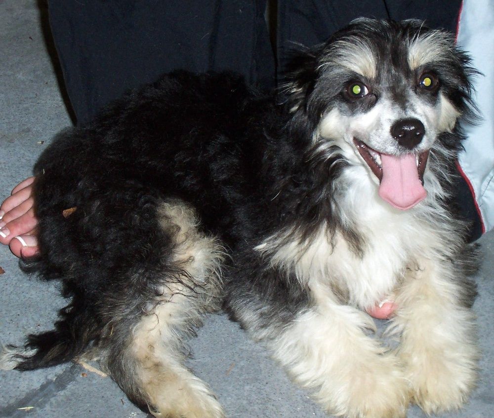 Kunoki's My Hair Is My Strength