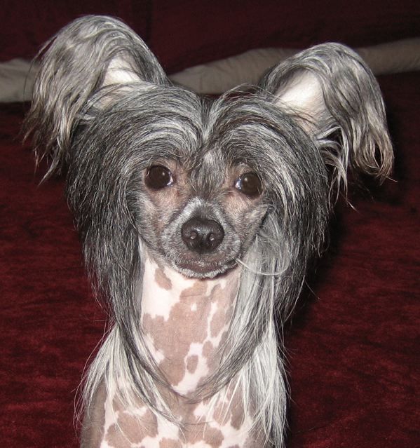 Silver Bluff Chianti