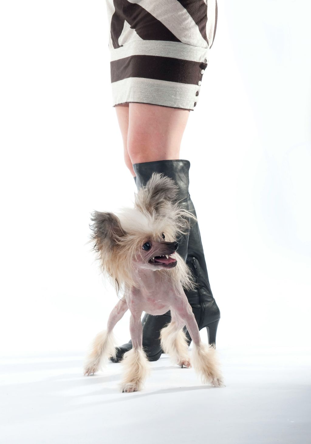 Cipracrest's Extreme Makeover