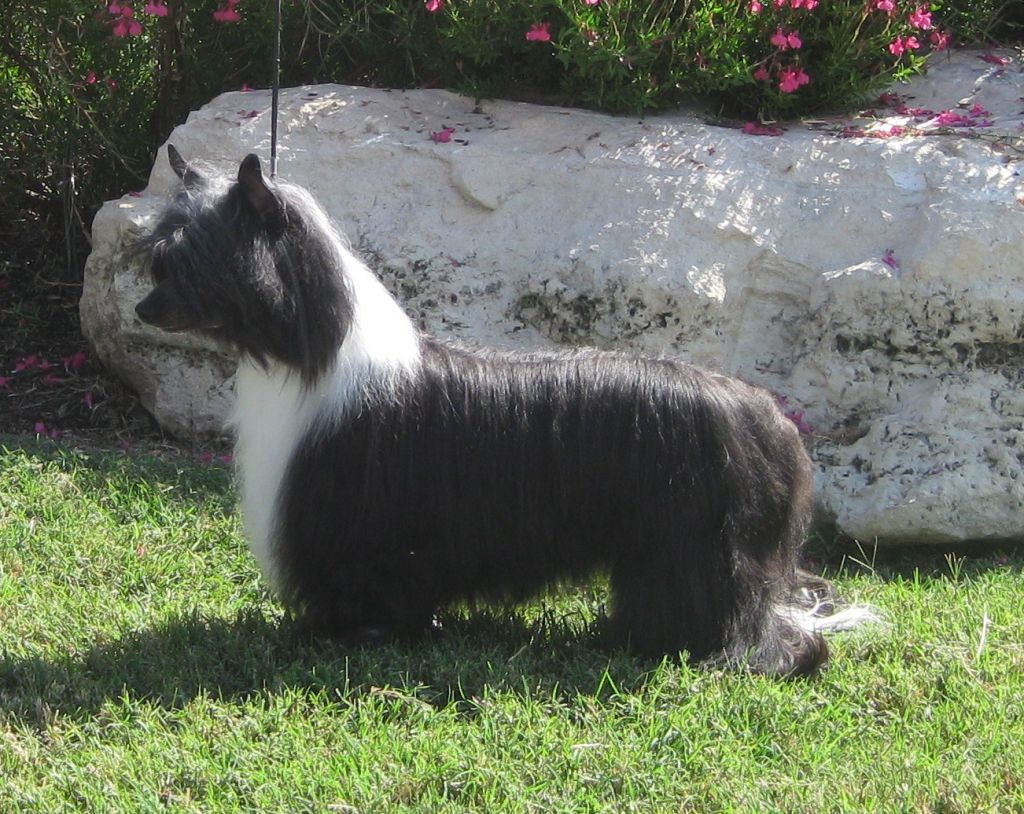 Legends An Enchanted Moment