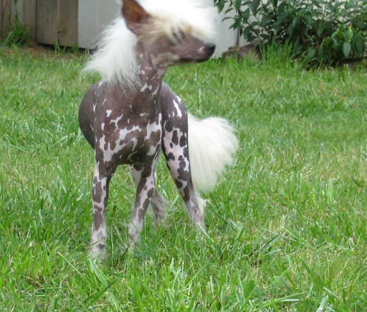 Ozkcavern Get In Ziggy With It