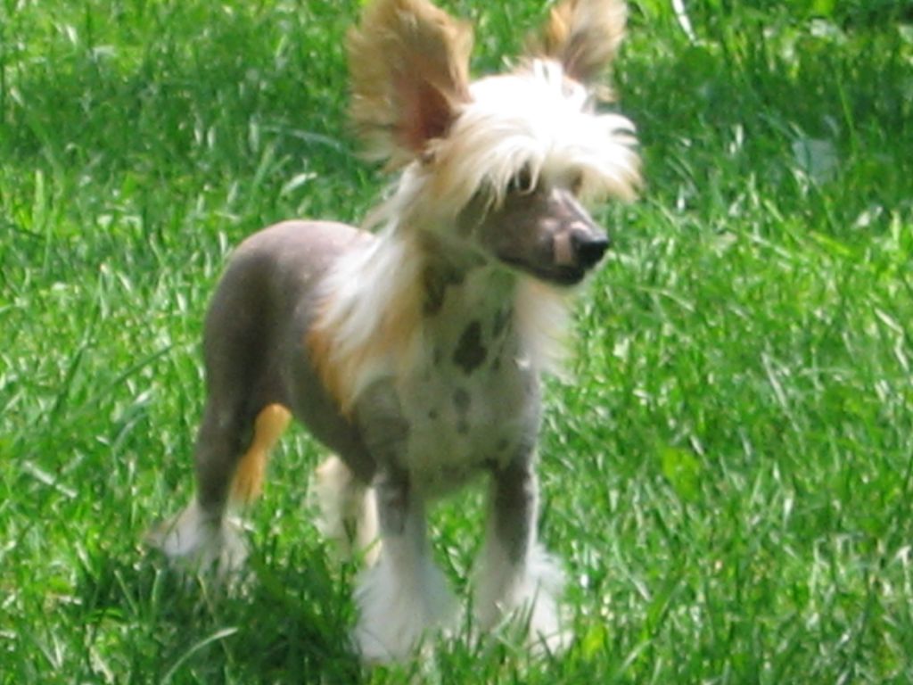 Escada's Red Storm Rising