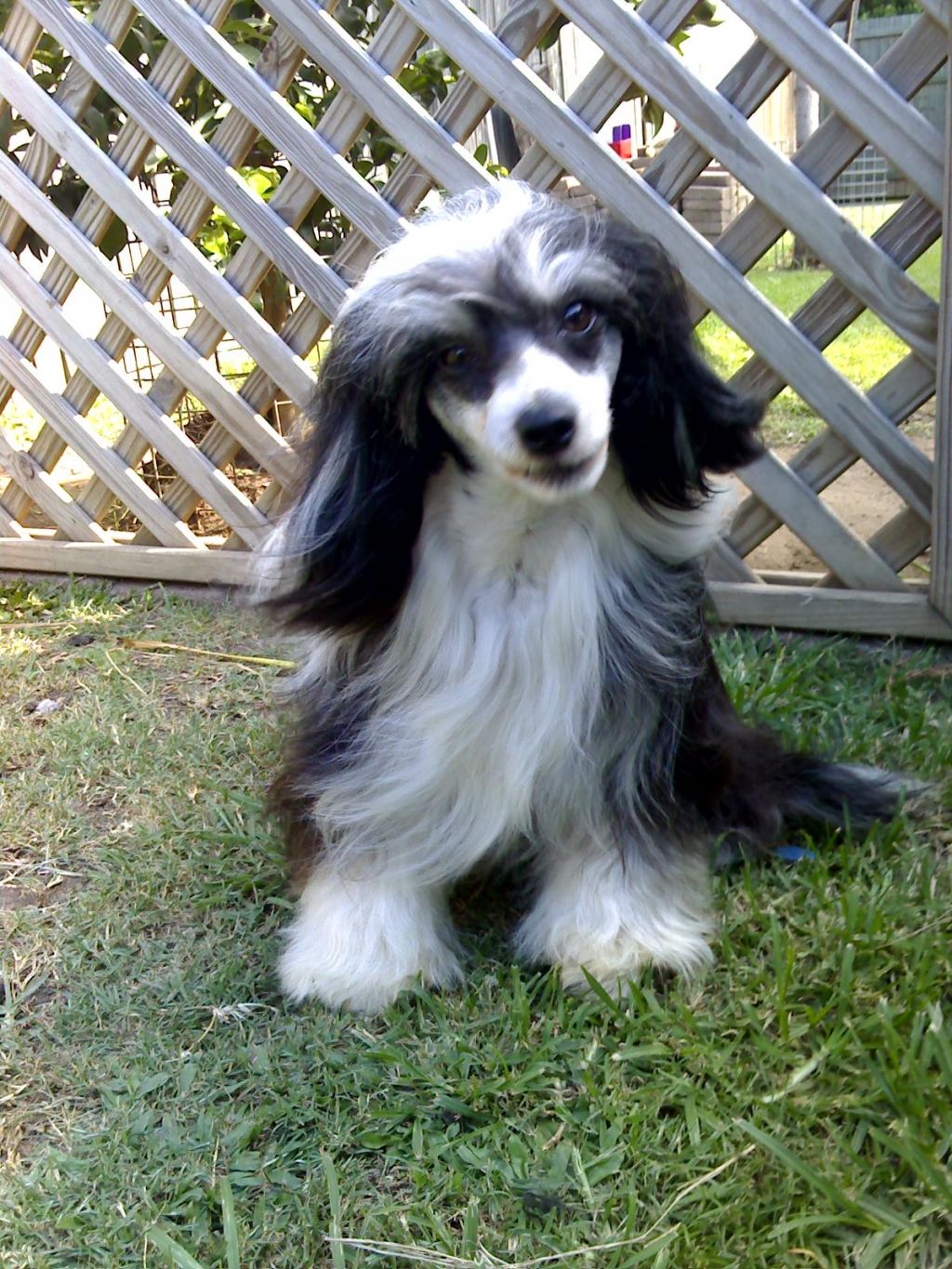 Sherabill Run For Cover