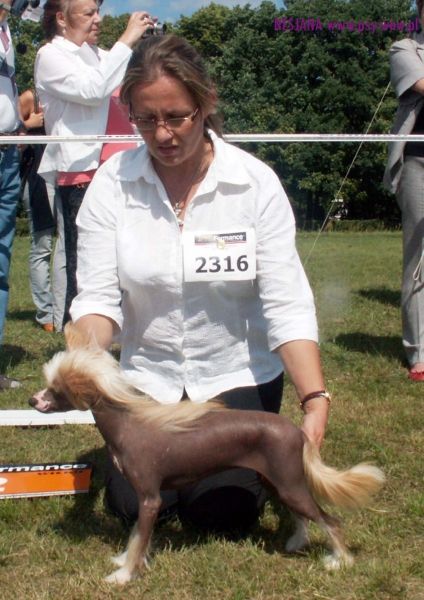 Blondi Raj dla Zwierzat