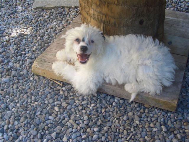 Body and Soul von Shinbashi