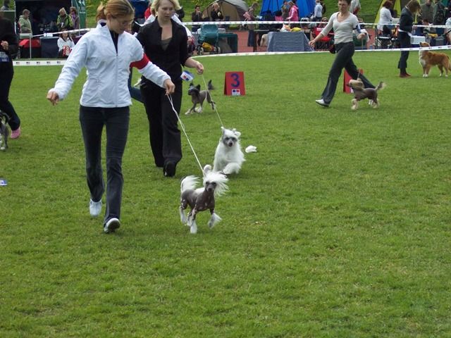 Ingrus Cherlin Charmel