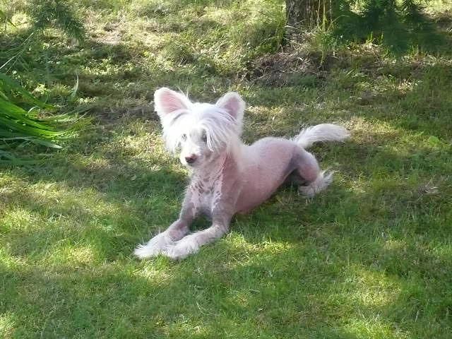 Starglow's Erkki Erikoinen