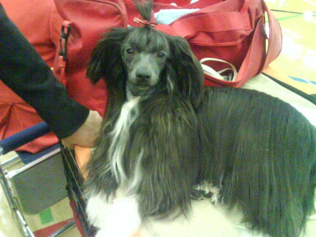 Zerachiel Caught Ya Lookin at Salmoncrest