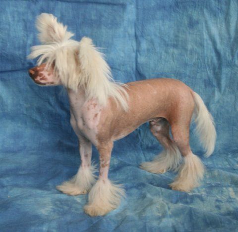 Maralou Time to love Bradwen