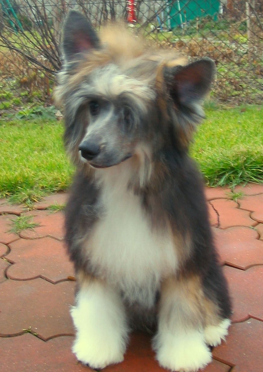 Oktawia Galus Pastoral