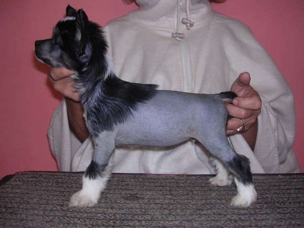 King of Passion Epocha