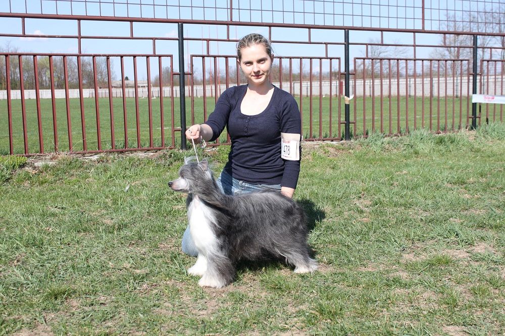 Oriental Jokes Dellmon